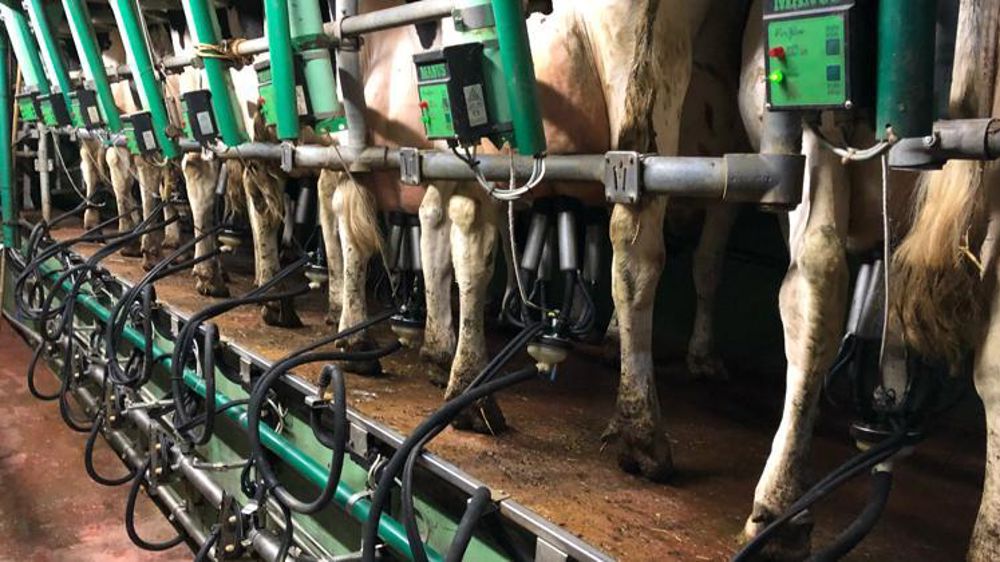 Sodiaal veut lisser la volatilité du prix B du lait grâce aux marchés à terme. © V. Guyot/GFA